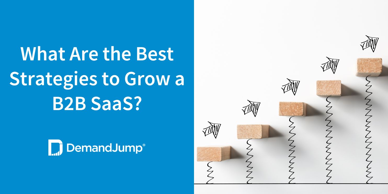 What Are The Best Strategies To Grow A B2B SaaS?